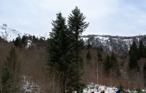 Les secrets du Sancy, randonnée accompagnée hivernale_Super-Besse