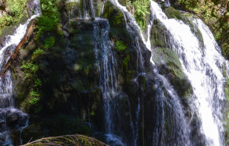 Fête de l'eau
