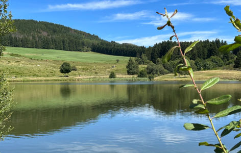 Site de pêche du plan d'eau du Pré Cohadon à Murat le Quaire_Murat-le-Quaire