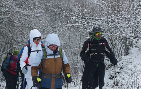 À la découverte des espaces préservés de Picherande, randonnée accompagnée_Picherande