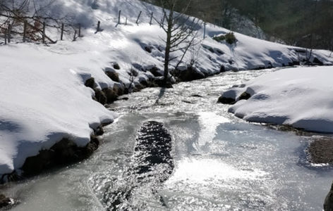 À la découverte des espaces préservés de Picherande, randonnée accompagnée_Picherande