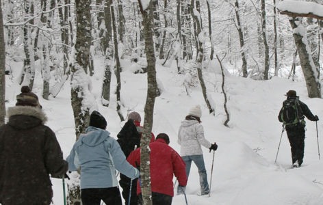À la découverte des espaces préservés de Picherande, randonnée accompagnée_Picherande
