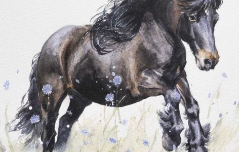 Exposition : Le cheval et la fleur, délicatesse et résilience_Besse-et-Saint-Anastaise