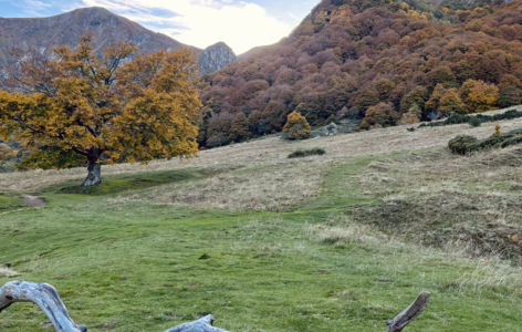 La vallée glaciaire de Chaudefour, randonnée accompagnée_Chambon-sur-Lac