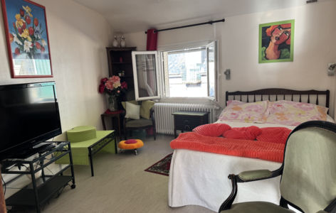 Villa Val Rose - Ecrin Vert Amande_Mont-Dore
