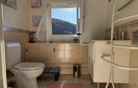 Villa Val Rose - Ecrin Vert Amande_Mont-Dore