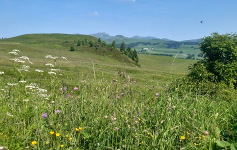 Besse-et-Saint-Anastaise - ANIMATIONS - Festival Voix & Patrimoines 2026_Besse-et-Saint-Anastaise