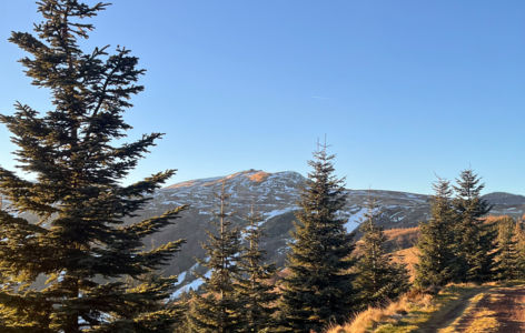 Les volcans sur un plateau : mystères et panoramas, randonnée accompagnée_Super-Besse