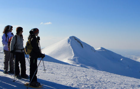 Sancy nature sauvage : randonnée accompagnée 