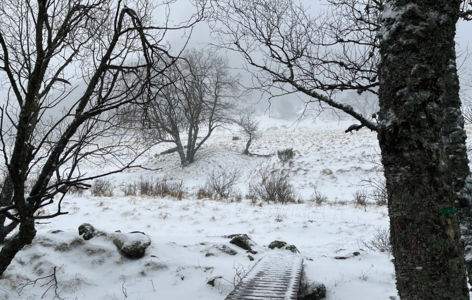 Découverte de la Vallée de Chaudefour, randonnée accompagnée avec transport en mini-bus_Super-Besse