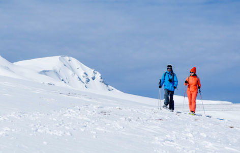 Sancy nature sauvage : randonnée accompagnée 