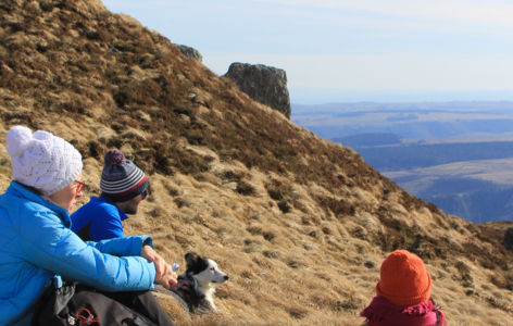 Sancy nature sauvage : randonnée accompagnée 