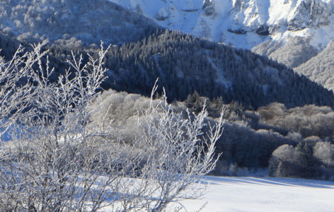 Découverte de la Vallée de Chaudefour, randonnée accompagnée avec transport en mini-bus_Super-Besse