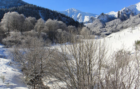 Découverte de la Vallée de Chaudefour, randonnée accompagnée avec transport en mini-bus_Super-Besse