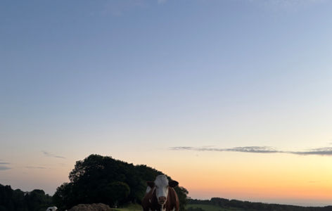 La magie de la nuit, randonnée accompagnée avec casse-croûte local_Chastreix