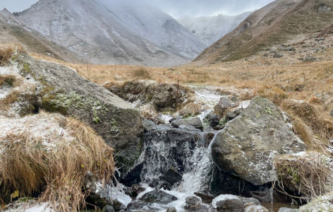 Balade raquettes & chamois au pied du Sancy_Mont-Dore