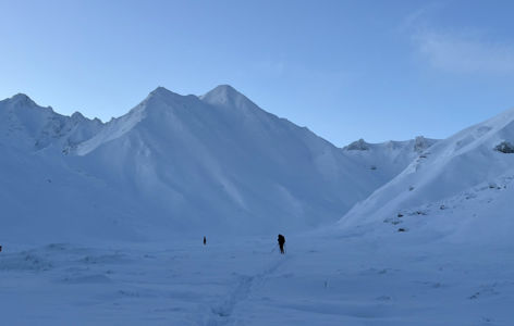 Balade raquettes & chamois au pied du Sancy_Mont-Dore