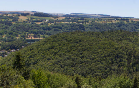Découverte du volcanisme au Tartaret avec un volcanologue_Murol