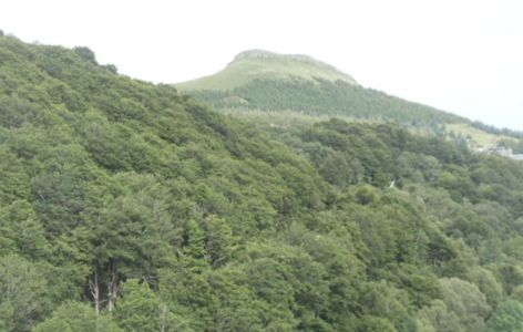 Résidence Tour de la Biche n°204_Super-Besse