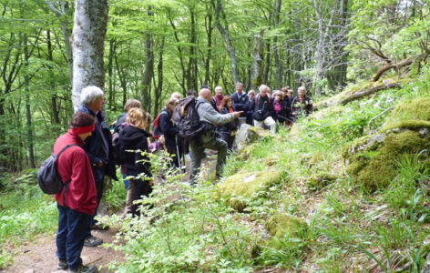 Nature en fête à Chaudefour_Chambon-sur-Lac