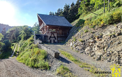 Chalet le Trappeur_Chambon-sur-Lac