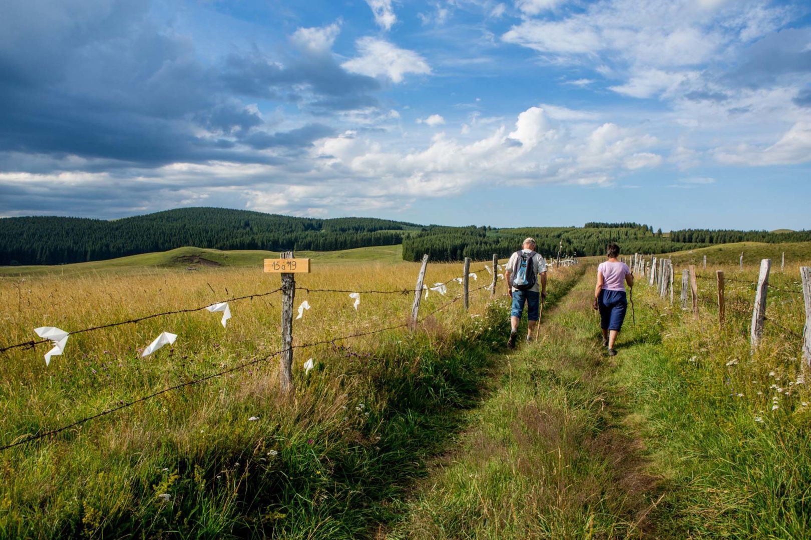 Le Tour des Vaches Rouges - Cézallier - Massif du Sancy
