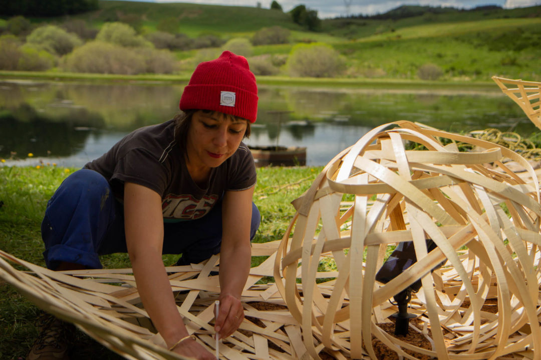 Horizons Arts-Nature en Sancy, Fleurs des Bois de l'Atelier Laps