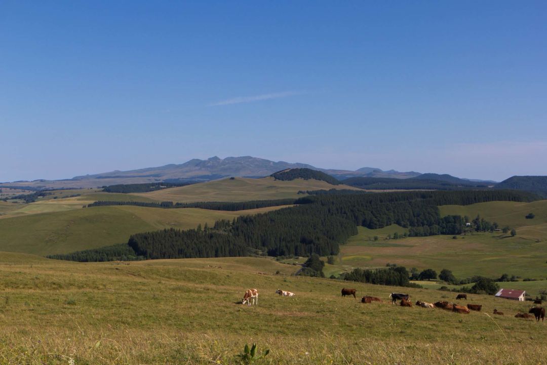 Vue sur le Massif du Sancy depuis le Cézallier