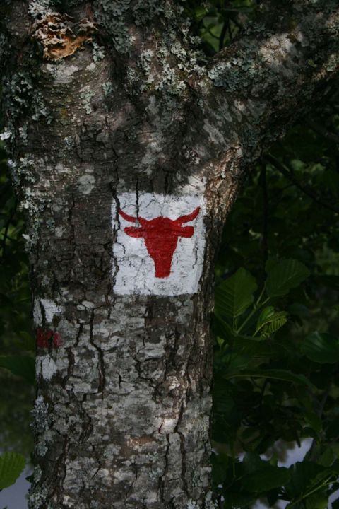GRP® Tour des Vaches Rouges signposting in the Cézallier