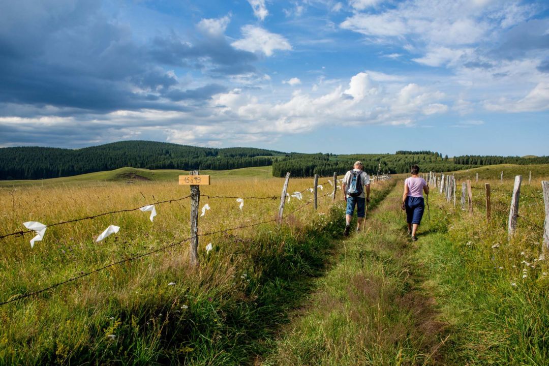 Hiking on the GRP® des Vaches Rouges
