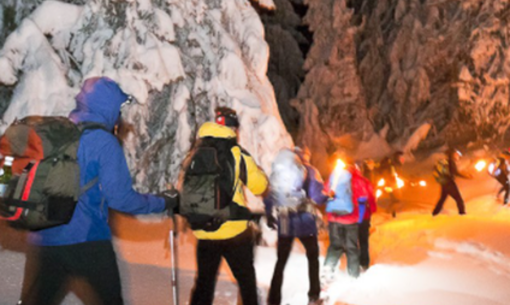 La nocturne secrète : rando lampions & magie étoilée, randonnée accompagnée
