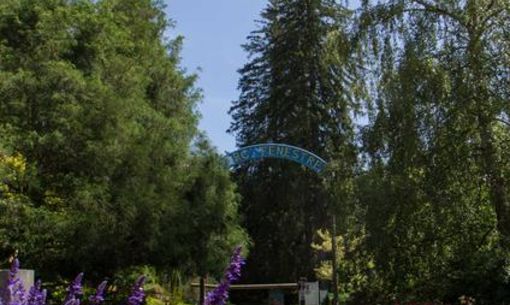 *The Call of the Wild* comes to Fenestre Park