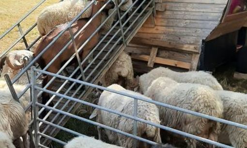 Les itinérances du patrimoine : randonnée fermière