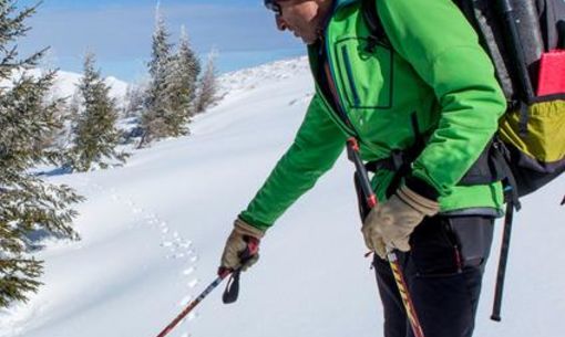 La classique découverte, randonnée accompagnée hivernale