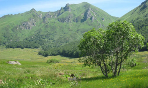 Réserve Naturelle de Chastreix-Sancy