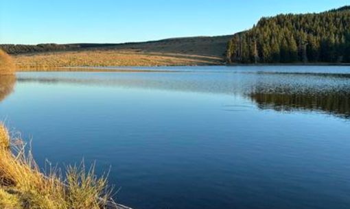 Découverte du lac Servières, randonnée accompagnée avec chauffeur