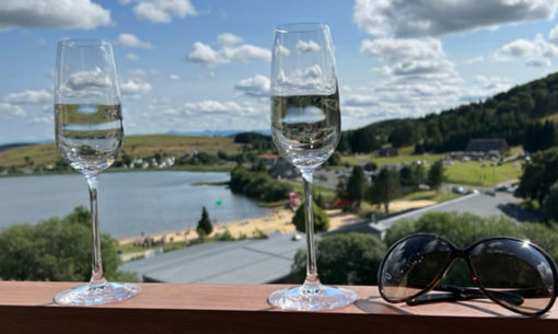 Résidence le Paillaret - Le P'tit Dahu 63 - n°202