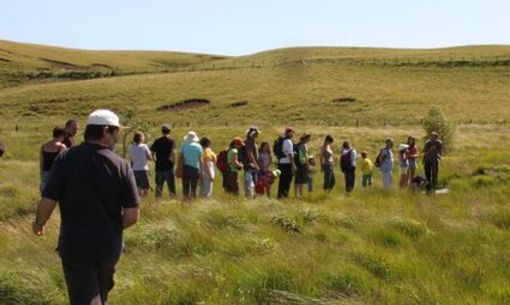 Visite guidée des tourbières de la Godivelle