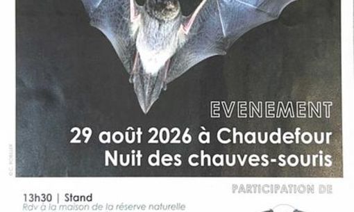 La nuit des chauves-souris