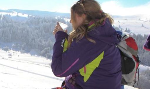 Animaux des grands froids à Super-Besse, randonnée accompagnée
