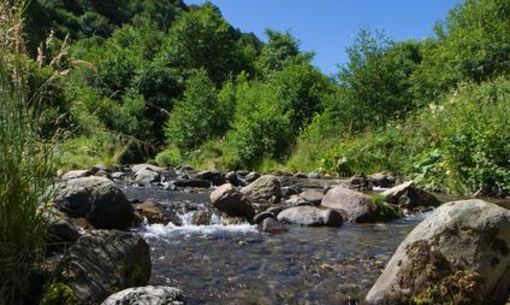 Sortie rando au fil de l'eau