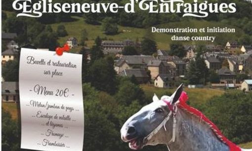 Concours inter-régional percheron