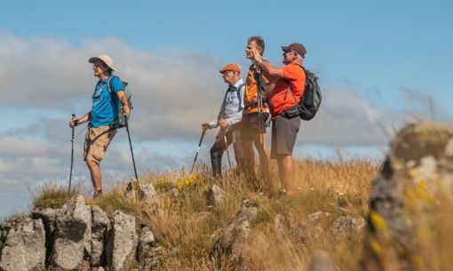 Randonnée entre volcans et animaux sauvages