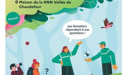 Tous en forêt