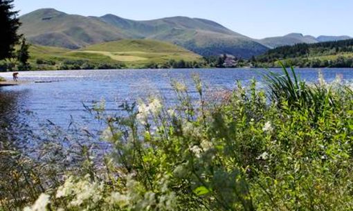 Découverte du lac de Guéry, randonnée accompagnée avec chauffeur