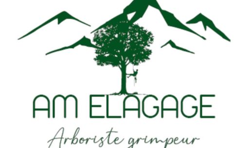 AM Elagage