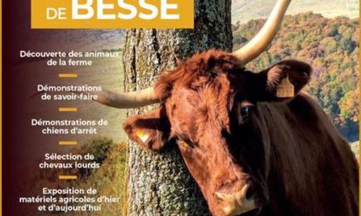 The farming village of Besse