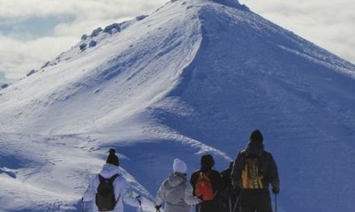 Crêtes du Sancy, randonnée d'altitude accompagnée