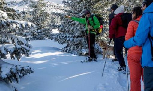 La Buronnière, randonnée accompagnée hivernale