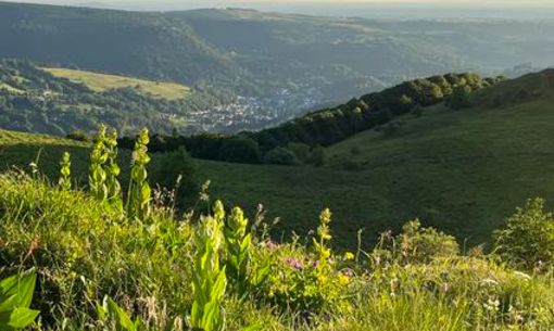 Montagne sauvage, randonnée accompagnée